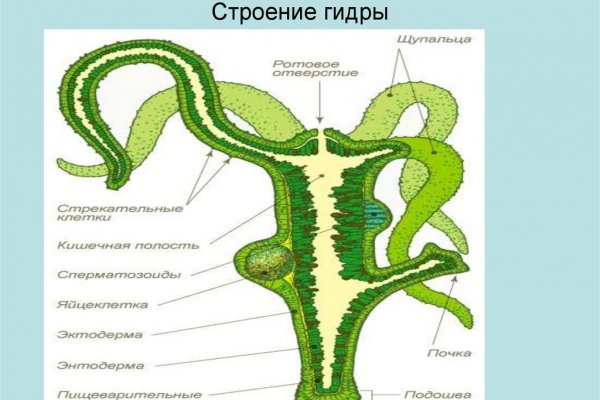 Мега даркнет вики